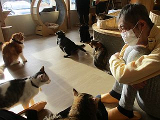 施設外活動（猫カフェ）